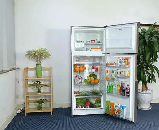 Cách Tiết Kiệm Điện Khi Sử Dụng Tủ Lạnh Hiệu Quả, Giảm Chi Phí Hàng Tháng