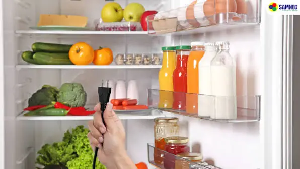 C&oacute; n&ecirc;n r&uacute;t điện tủ lạnh khi kh&ocirc;ng sử dụng?